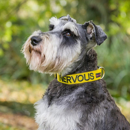 Friendly Dog Collars NERVOUS S/M Clip Collar 1pc