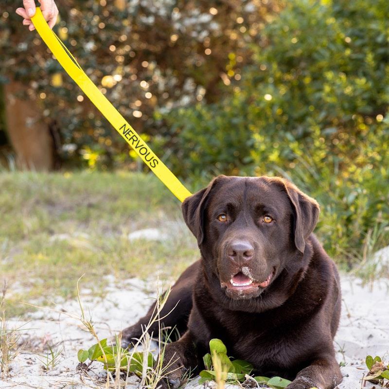 Load image into Gallery viewer, Friendly Dog Collars NERVOUS Short Lead 1pc
