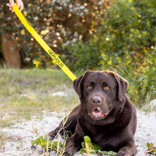 Friendly Dog Collars NERVOUS Short Lead 1pc