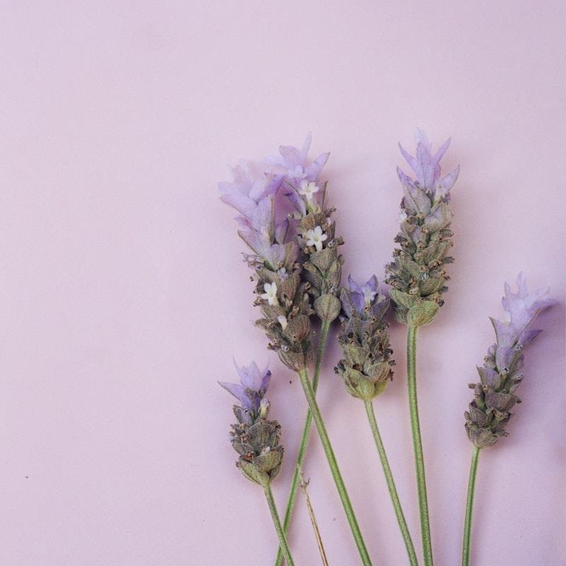 Load image into Gallery viewer, Kind-ly Lavender Mist Calming Toner 100ml
