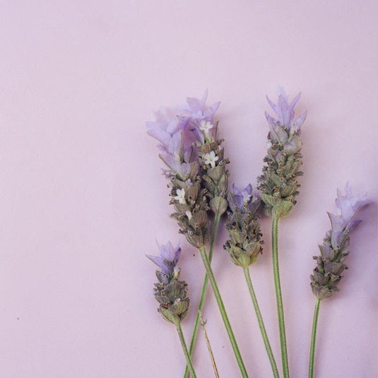 Kind-ly Lavender Mist Calming Toner 100ml
