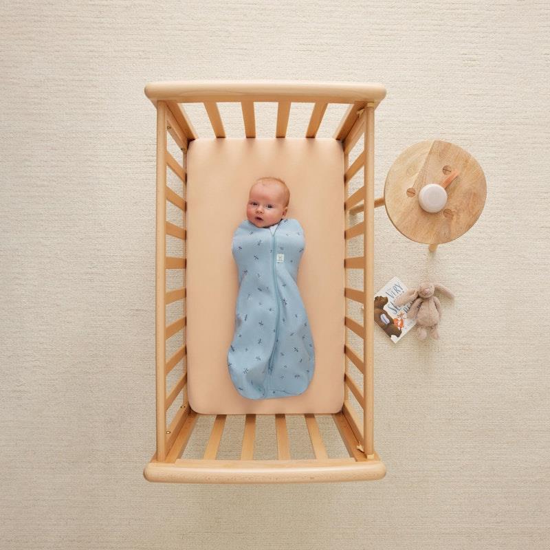 Load image into Gallery viewer, ergoPouch Cocoon Swaddle Bag 1.0 TOG Dragonflies 3-6Months
