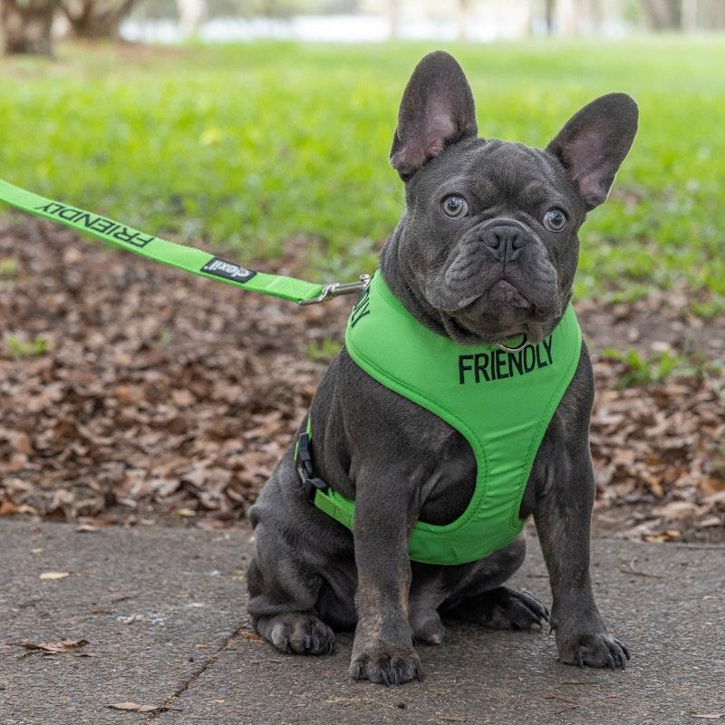 Load image into Gallery viewer, Friendly Dog Collars Friendly Small Adjustable Vest Harness 1pc
