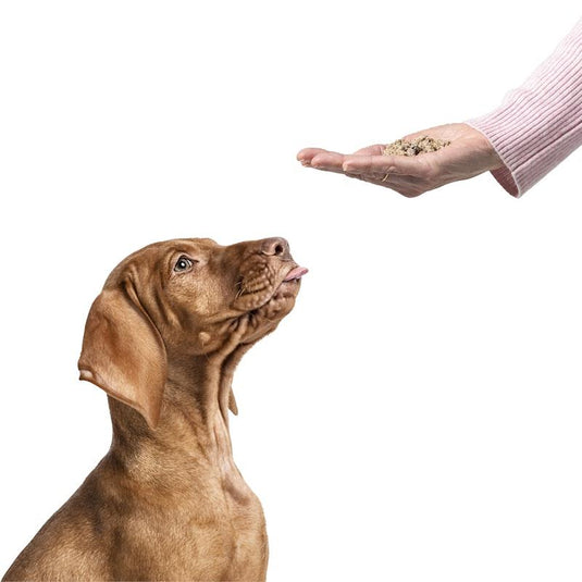 HOUNDZTOOTH Puppy Health Raw Boost Meal Topper for Dogs 60g