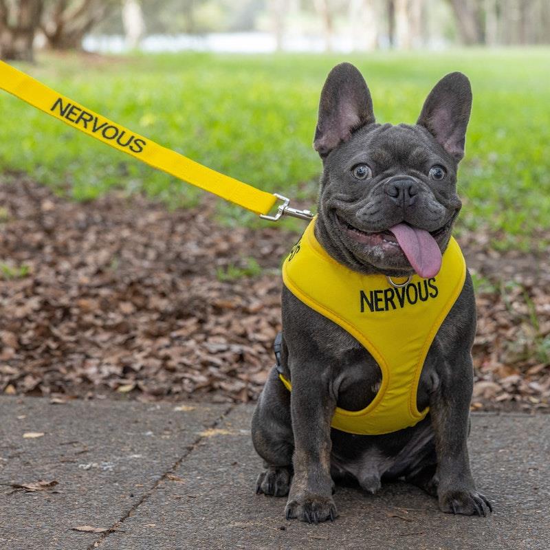 Load image into Gallery viewer, Friendly Dog Collars NERVOUS Long Lead 1pc
