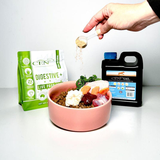 CEN Dog Digestive Bundle