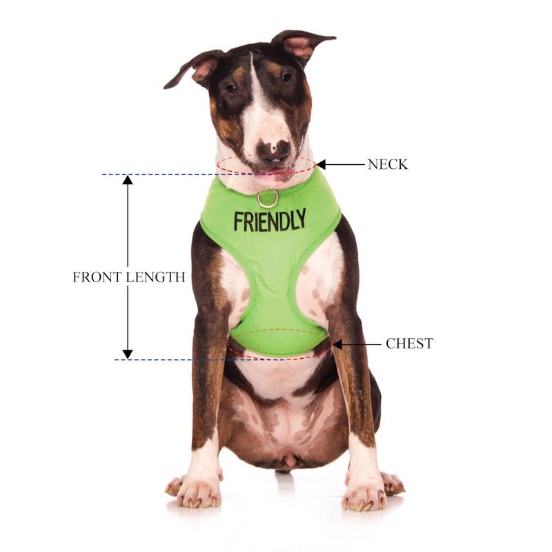 Load image into Gallery viewer, Friendly Dog Collars Friendly Large Adjustable Vest Harness 1pc
