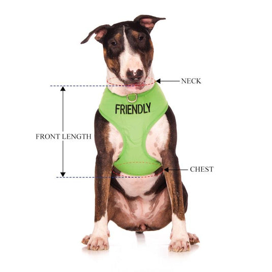Friendly Dog Collars Friendly Large Adjustable Vest Harness 1pc