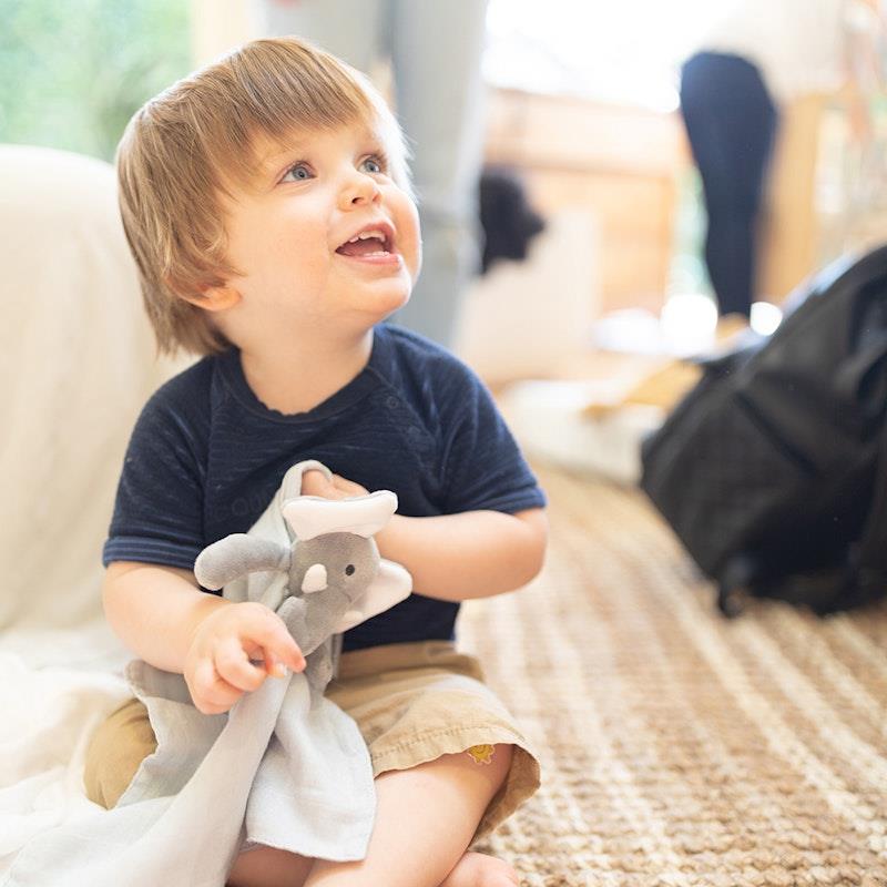 Load image into Gallery viewer, Little Bamboo Lovie/Comforter -  Erin the Elephant 2Pack
