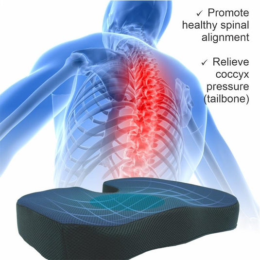 BodyAssist Coccyx Comfort Seat Cushion & Large Hot/Cold Gel Pack One Size