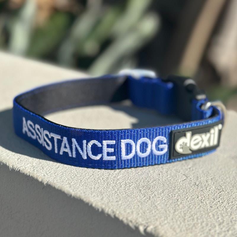 Load image into Gallery viewer, Friendly Dog Collars ASSISTANCE DOG L/XL Clip Collar 1pc
