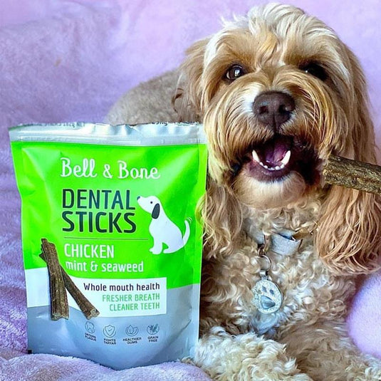 Bell & Bone Chicken, Mint & Seaweed Dental Sticks Small