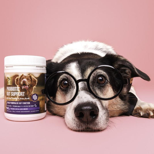 Natural Pet Supplements Probiotic Gut Support for Dogs and Cats 200g