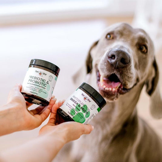 Nourish Pet Co. Gut Advanced Pack