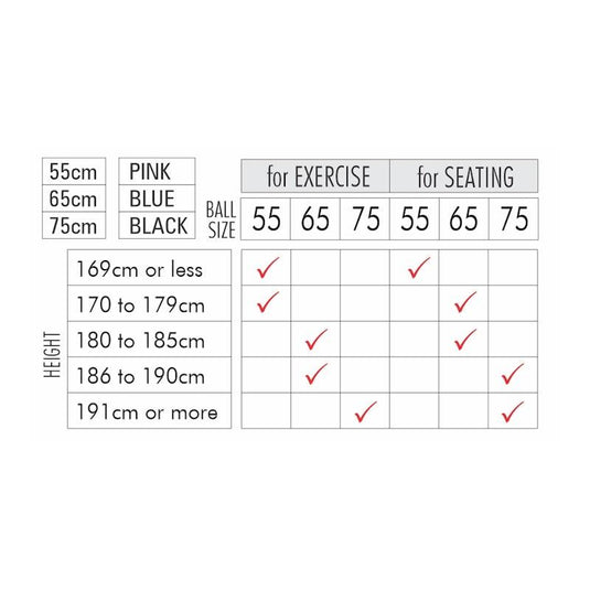 BodyAssist Fitness Ball & Pedometer Starter Bundle Blue 65cm
