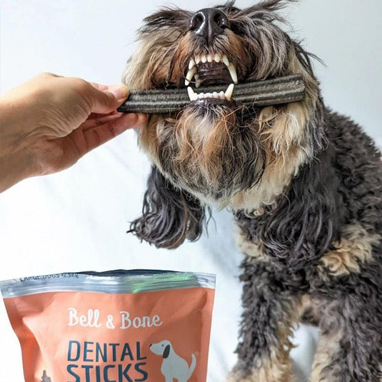 Bell & Bone Salmon, Mint and Charcoal Dental Sticks Medium