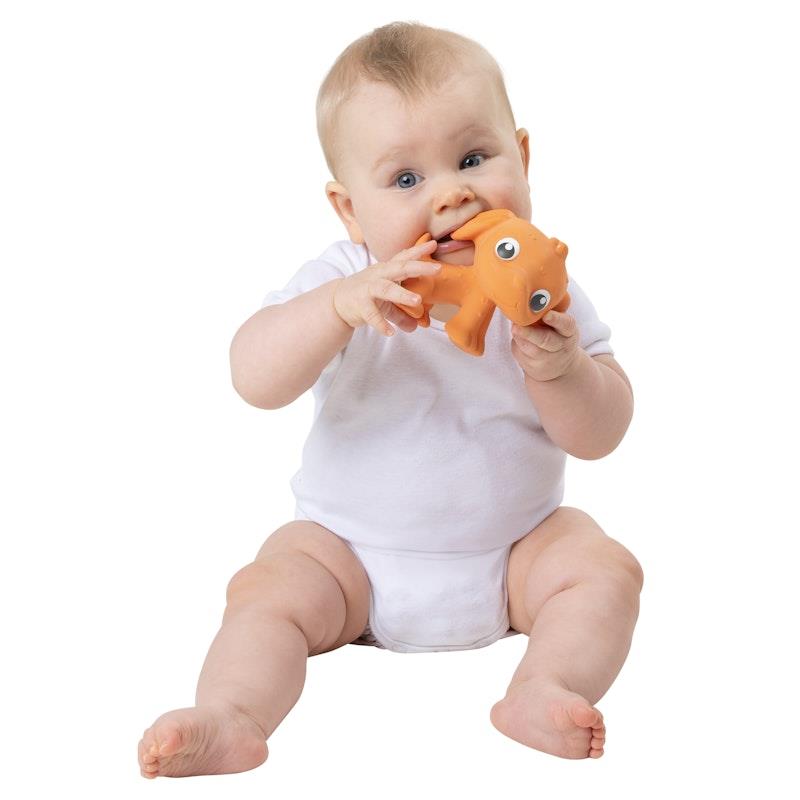 Load image into Gallery viewer, Playgro Eco Play Natural Rubber Pooky Puppy Orange
