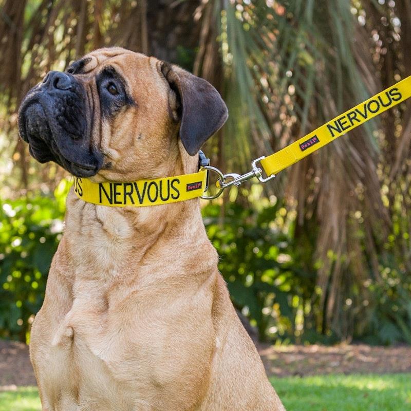 Load image into Gallery viewer, Friendly Dog Collars NERVOUS L/XL Clip Collar 1pc
