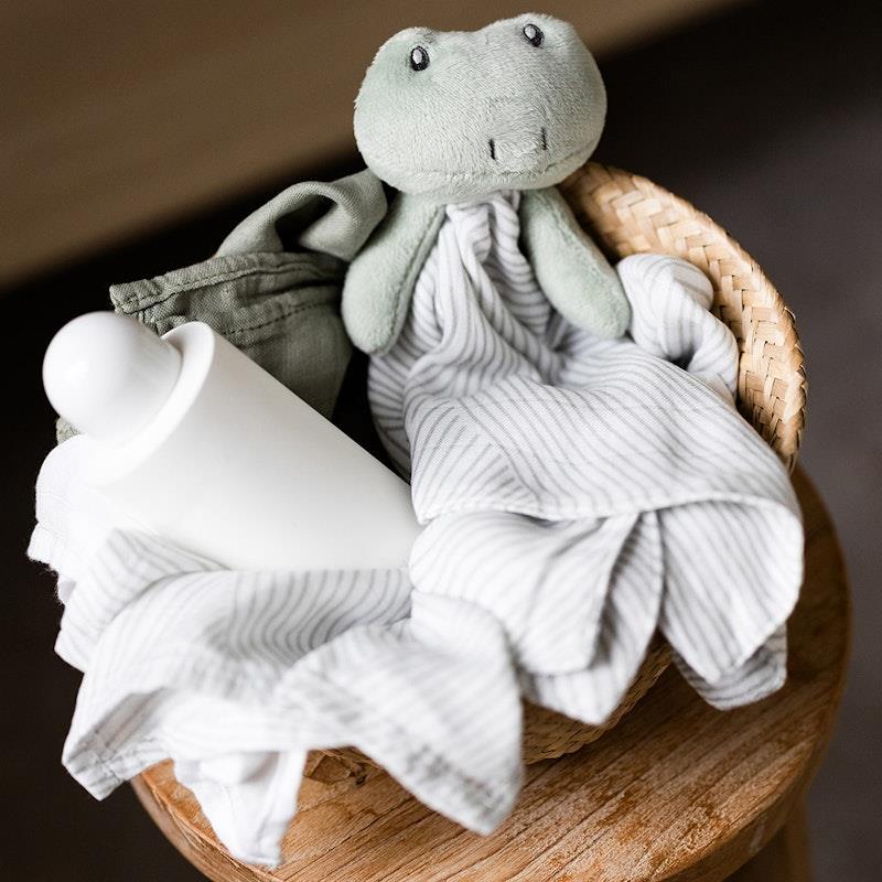Load image into Gallery viewer, Little Bamboo Lovie/Comforter -  Freddie the Frog 2Pack
