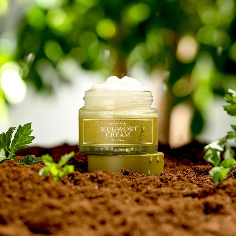 Load image into Gallery viewer, I’m From Mugwort Cream 50ml
