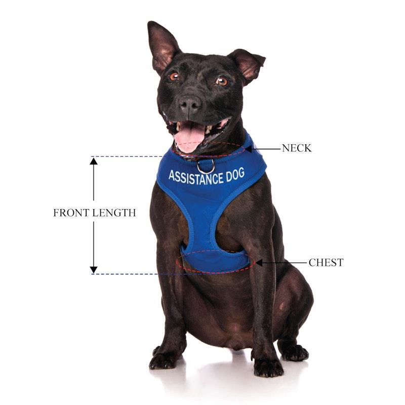 Load image into Gallery viewer, Friendly Dog Collars ASSISTANCE DOG Medium adjustable Vest Harness 1pc
