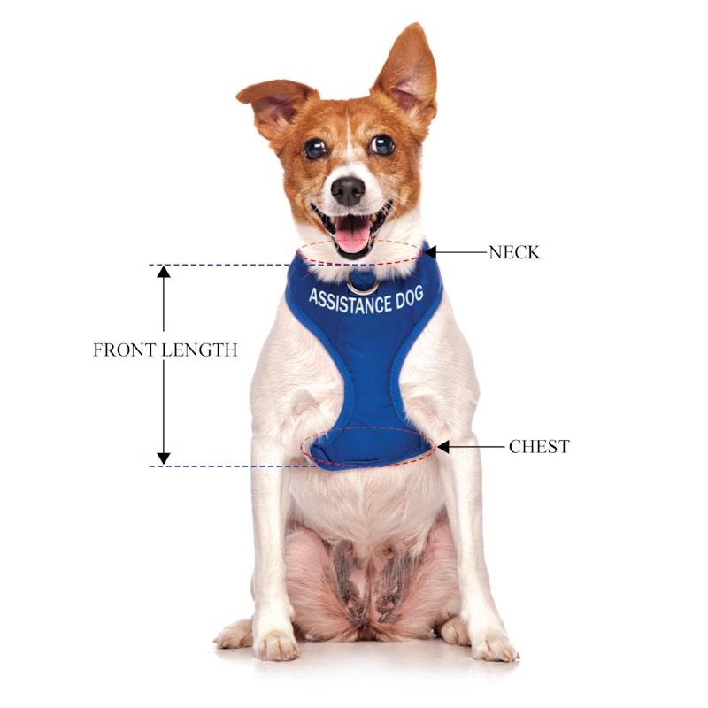 Load image into Gallery viewer, Friendly Dog Collars ASSISTANCE DOG Small adjustable Vest Harness 1pc
