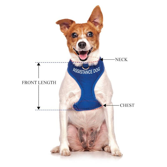 Friendly Dog Collars ASSISTANCE DOG Small adjustable Vest Harness 1pc