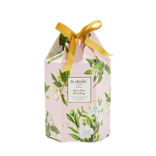 Le Desire Volcano Flower Blood Orange - Blooms Soy Candle with Glass Cloche 120g