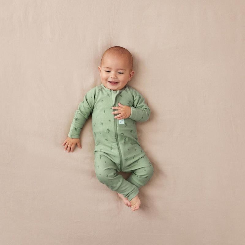 Load image into Gallery viewer, ergoPouch Long Sleeve Layer 0.2 TOG Willow 3-6Months
