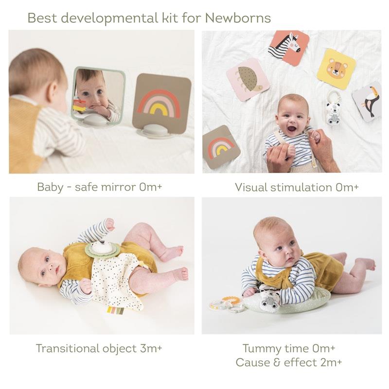 Load image into Gallery viewer, Taf Toys Newborn Develop&amp; Play Kit
