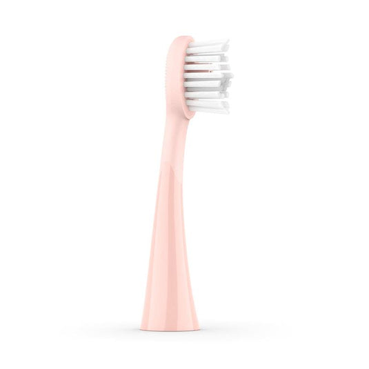 ORDO Sonic Brush Head Rose Gold | Petal 8 Pack Bundle