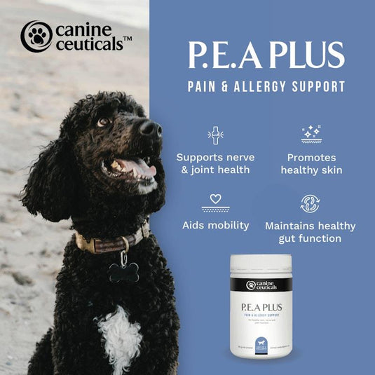 CanineCeuticals P.E.A Plus 120g