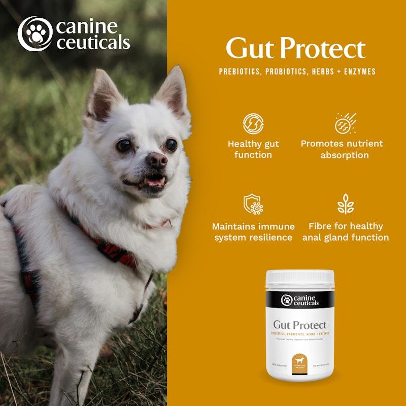 Load image into Gallery viewer, CanineCeuticals Gut Protect 200g
