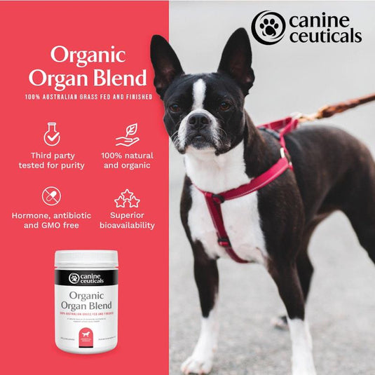 CanineCeuticals Organic Organ Blend 200g