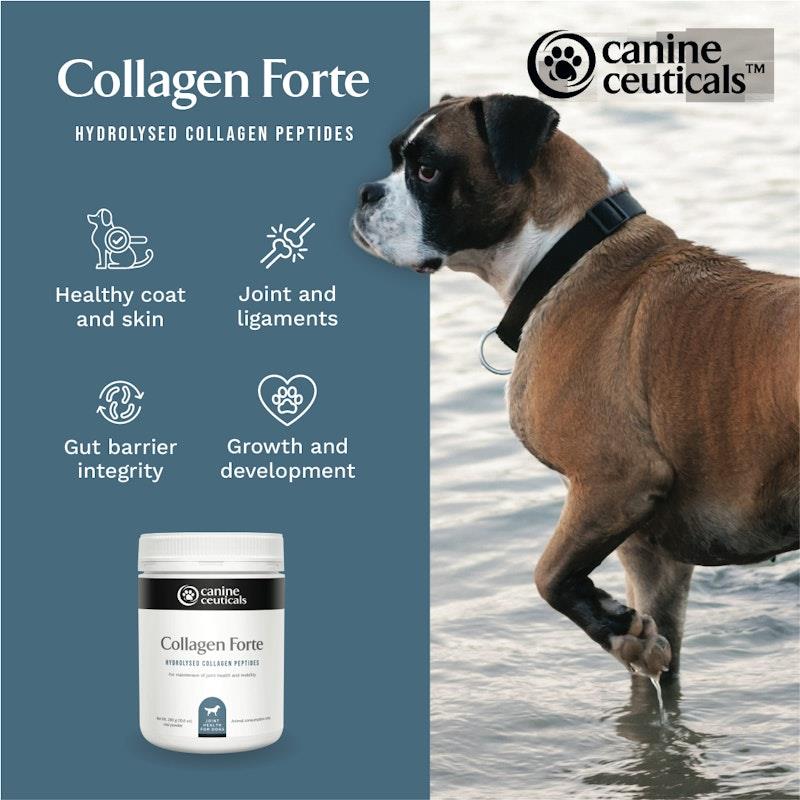 Load image into Gallery viewer, CanineCeuticals Collagen Forte 300g
