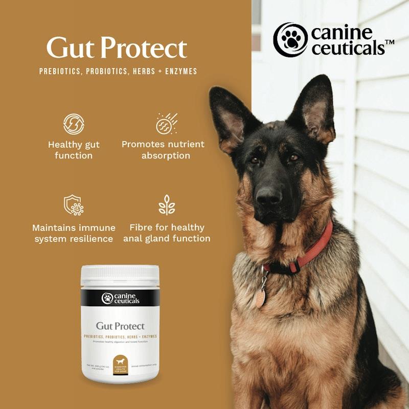 Load image into Gallery viewer, CanineCeuticals Gut Protect 400g
