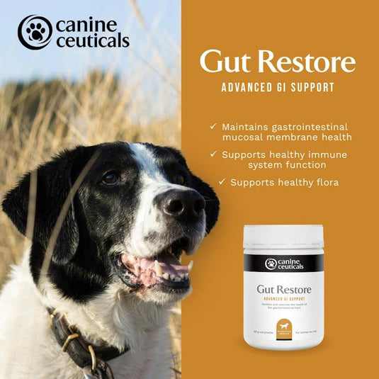 CanineCeuticals Gut Restore 120g
