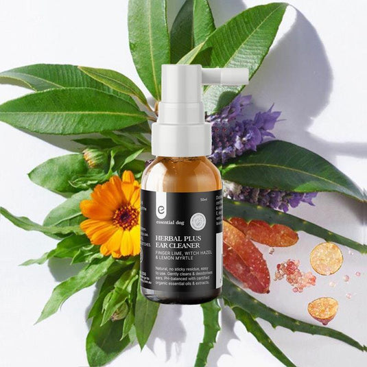 Essential Dog Herbal Dog Ear Cleaner: Witch Hazel, Finger Lime and Lemon Myrtle 50ml