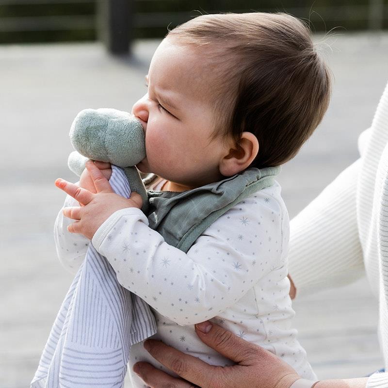 Load image into Gallery viewer, Little Bamboo Muslin Bib -  Bayleaf 4Pack
