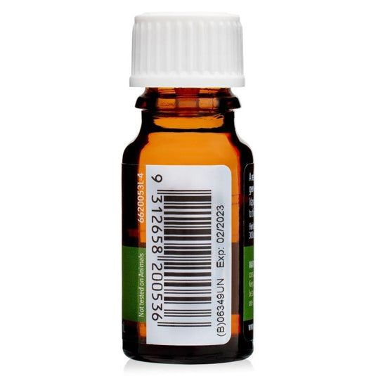 Oil Garden Spearmint 12ml