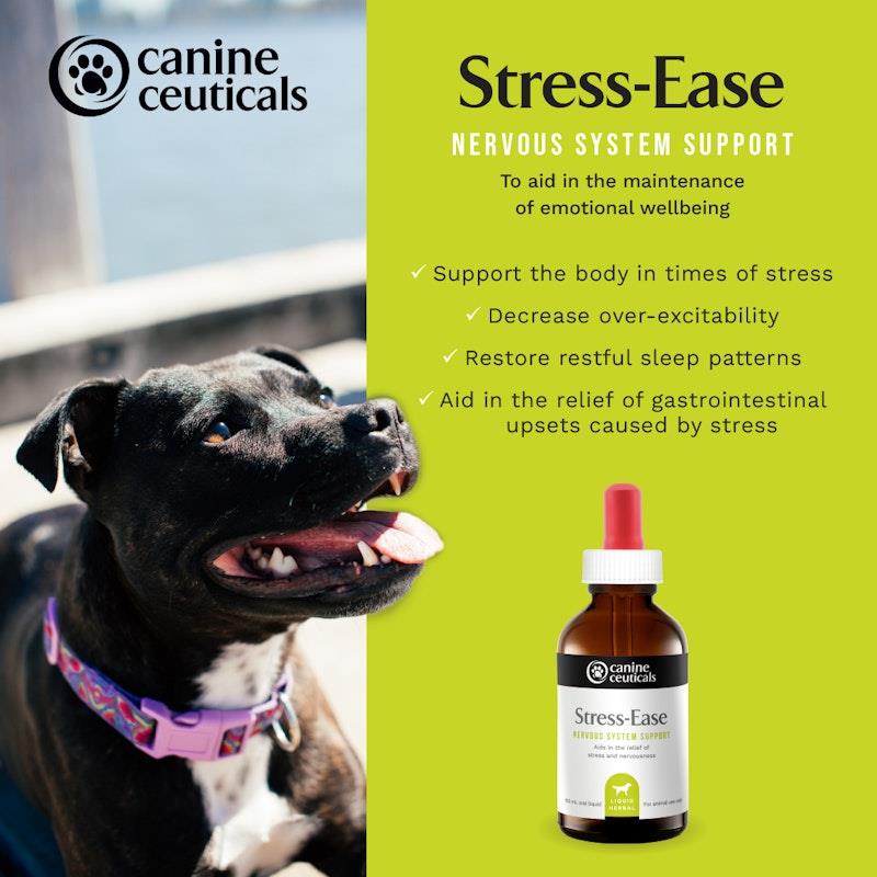 Load image into Gallery viewer, CanineCeuticals Stress-Ease 100ml
