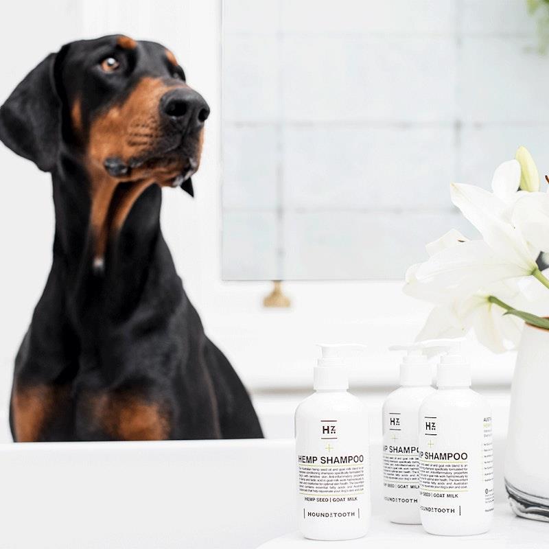 Load image into Gallery viewer, HOUNDZTOOTH Hemp Shampoo for Dogs 250ml
