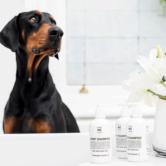 HOUNDZTOOTH Hemp Shampoo for Dogs 250ml