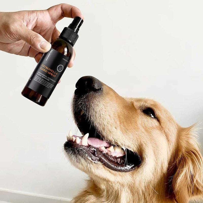 Load image into Gallery viewer, Essential Dog Citronella Gard Spray for Dogs:  Lemongrass, Cedarwood and Rose Geranium 125ml
