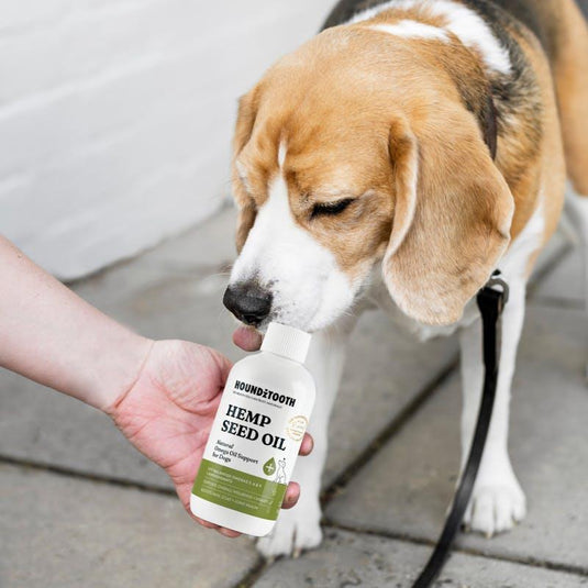 HOUNDZTOOTH Hemp Seed Oil for Dogs 250ml
