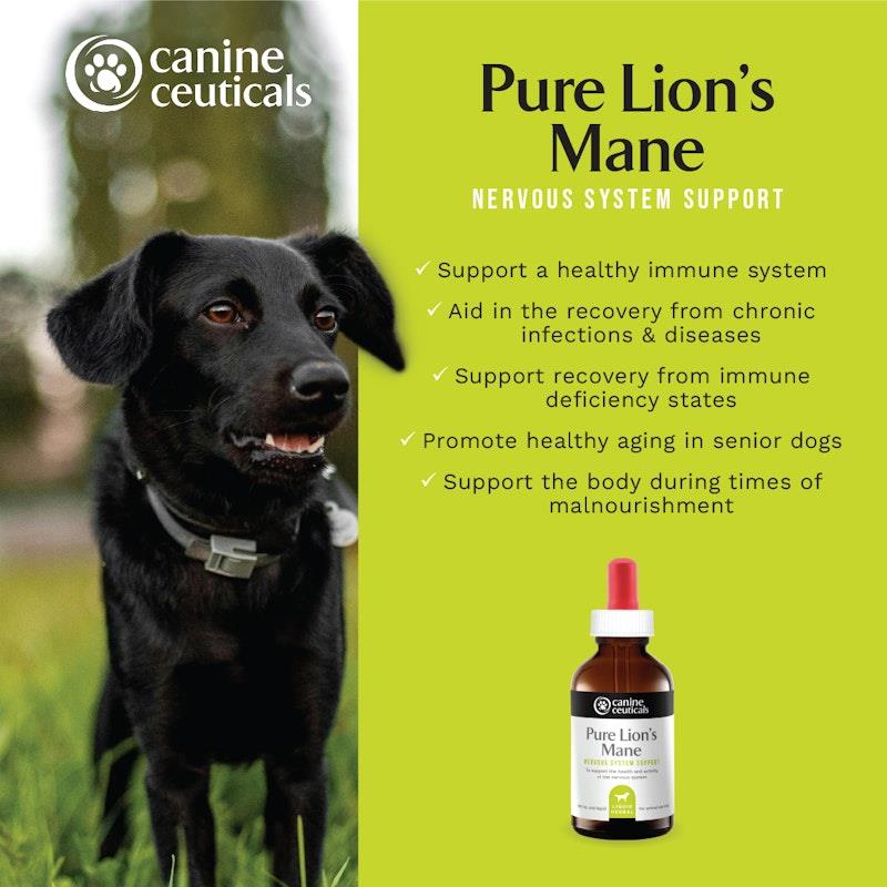 Load image into Gallery viewer, CanineCeuticals Pure Lion's Mane 100ml
