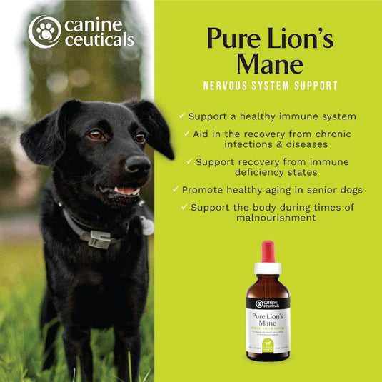CanineCeuticals Pure Lion's Mane 100ml