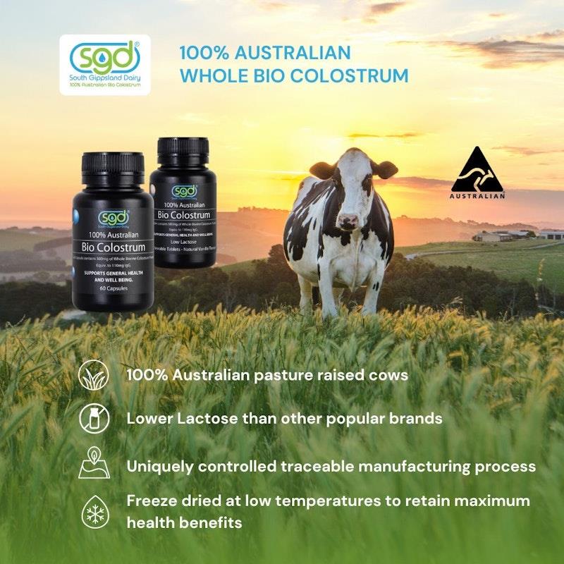 Load image into Gallery viewer, SGD Low Lactose Chewable Colostrum Tablets 110mg IgG (Natural Vanilla) 60 Tablets
