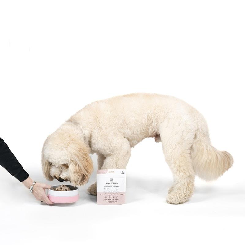 Load image into Gallery viewer, HOUNDZTOOTH Puppy Health Raw Boost Meal Topper for Dogs 60g
