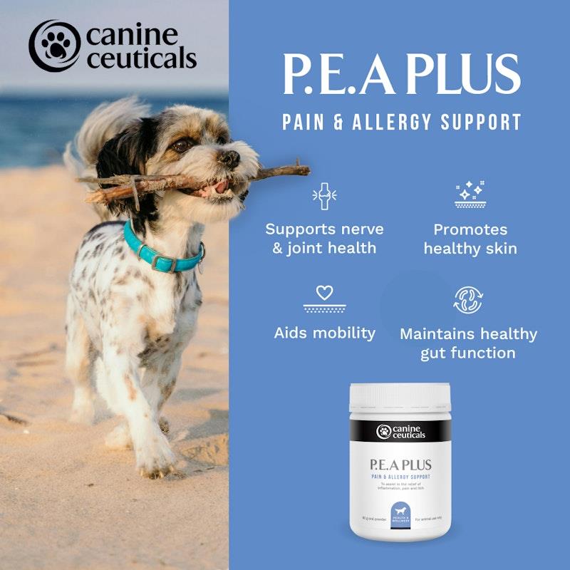 Load image into Gallery viewer, CanineCeuticals P.E.A Plus 60g
